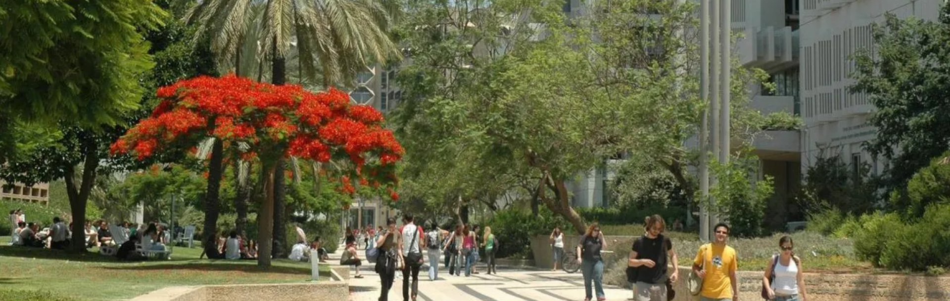 Tel Aviv University&#039;s Green Energy Transformation